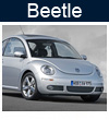 BEETLE